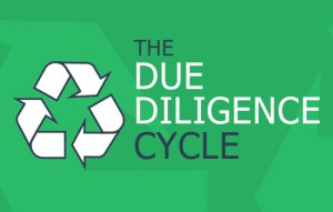 due diligence cycle