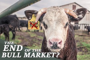 Bull Picture: End of the Bull Market (Medium 1)